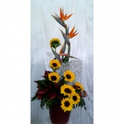 Quốc tế Phụ nữ 050