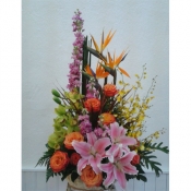 Quốc tế Phụ nữ 063