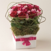 Quốc tế phụ nữ 017