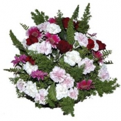 Round Arrangement of Cut Flowers