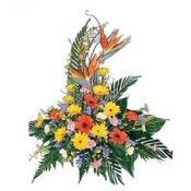 Seasonal Arrangement