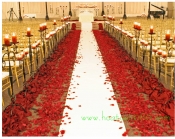 Trang trí lối đi 019